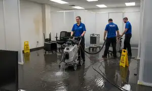 Emergency water damage service widget for Thousand Oaks, CA water damage restoration company
