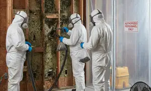 Mold remediation services in Thousand Oaks, CA for water-damage restoration home page widget